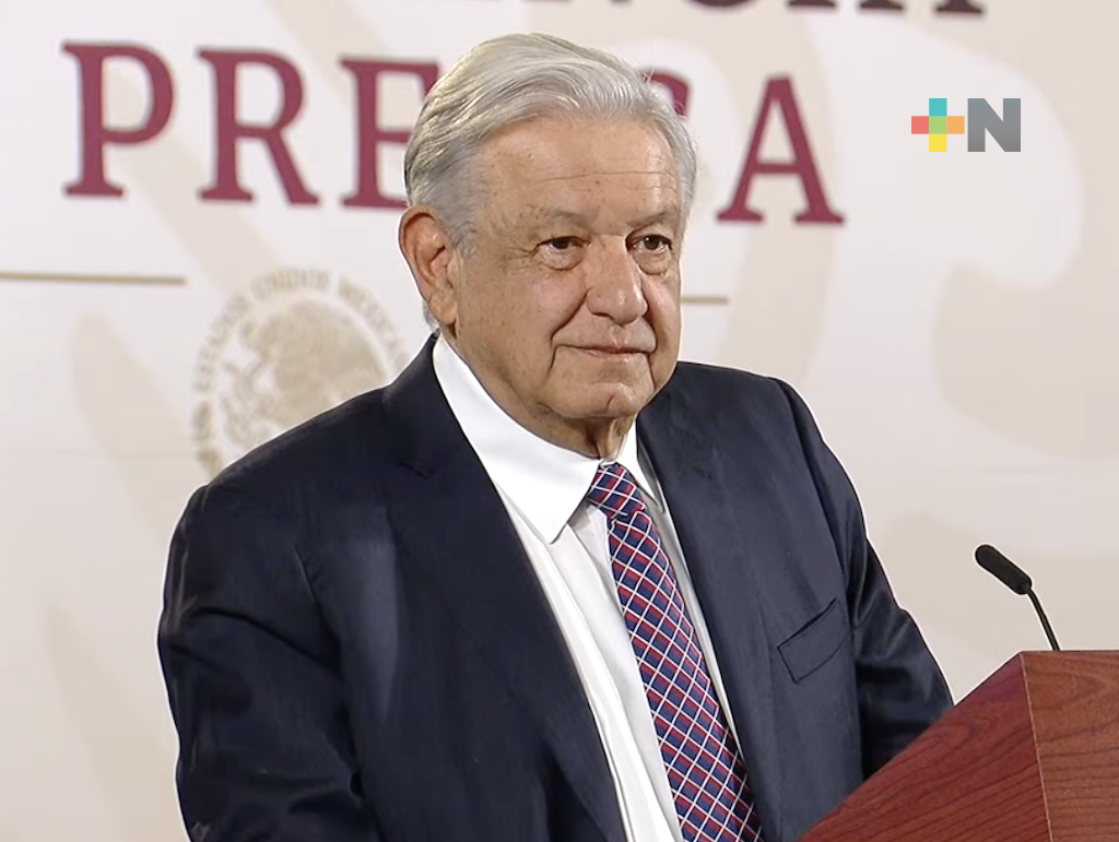 Manifestantes son manipulados por Álvarez Icaza, la OEA y grupos conservadores: AMLO